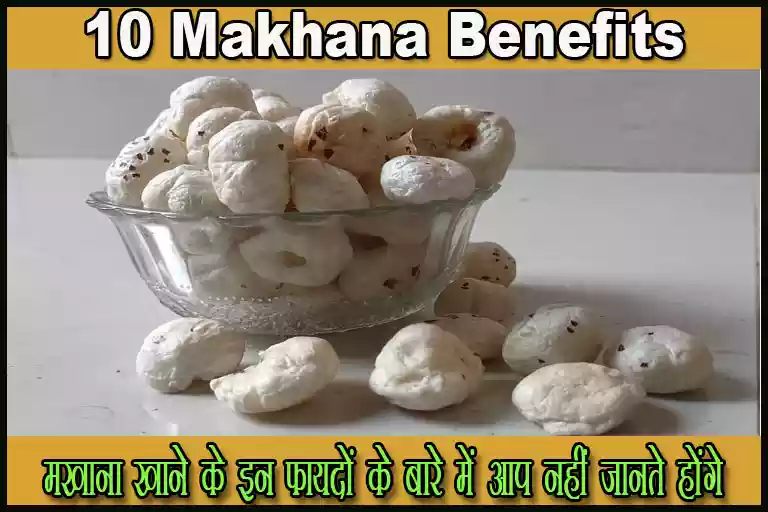 Makhana Benefits in hindi |मखाना खाने के फायदे व नुकसान 2023