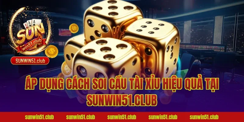 Áp dụng cách soi cầu tài xỉu hiệu quả tại Sunwin51.club