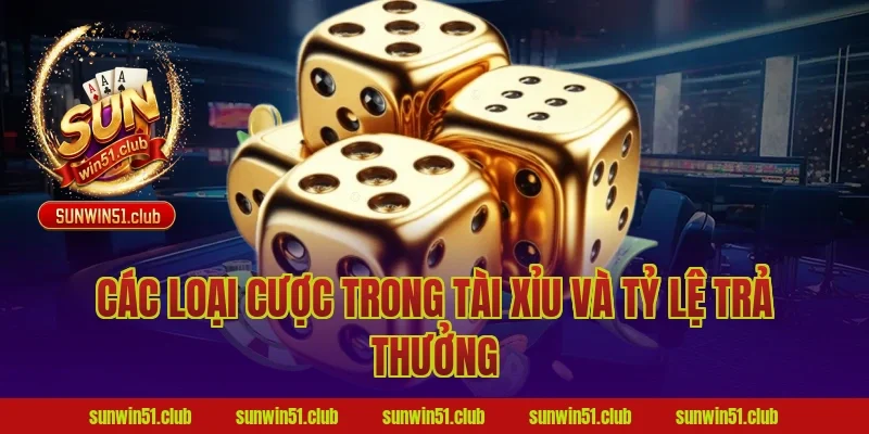 Các Loại Cược Trong Tài Xỉu Và Tỷ Lệ Trả Thưởng