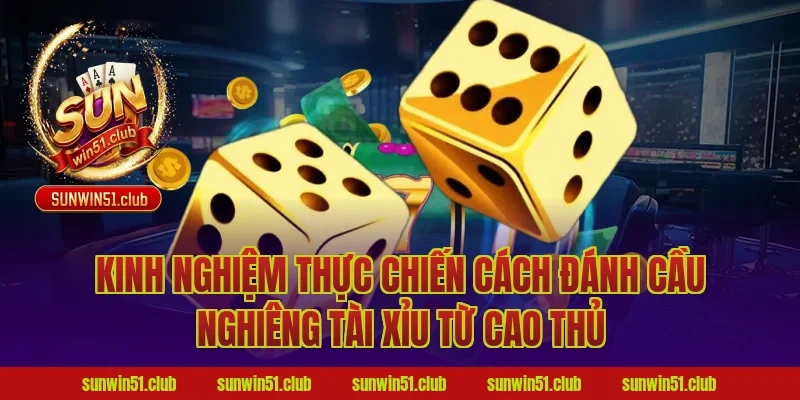 Kinh nghiệm thực chiến cách đánh cầu nghiêng tài xỉu từ cao thủ