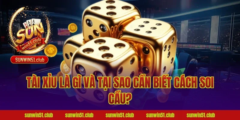 Tài Xỉu Là Gì Và Tại Sao Cần Biết Cách Soi Cầu?